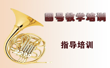 天津在线圆号教学培训