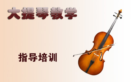 天津在线大提琴教学培训