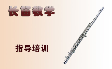 天津在线长笛教学培训