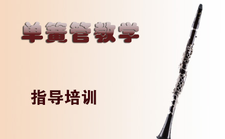 天津在线单簧管教学培训
