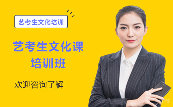 广州艺考生文化课培训班