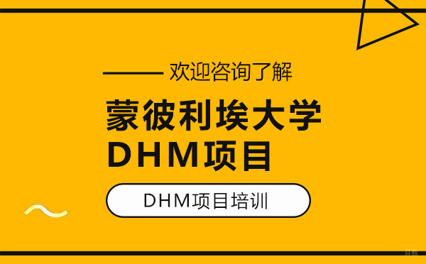 深圳蒙彼利埃大学DHM项目
