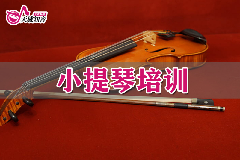 上海文体素养在线小提琴课程