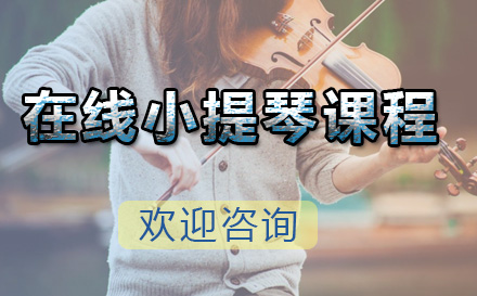 青岛兴趣爱好在线小提琴课程
