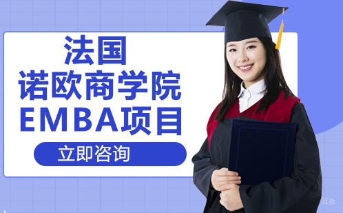 武汉法国诺欧商学院EMBA项目