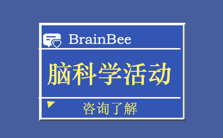 北京BrainBee脑科学活动