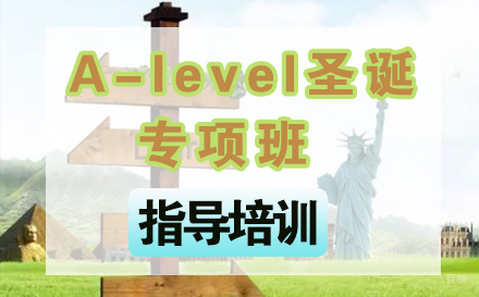 石家庄A-level圣诞专项班