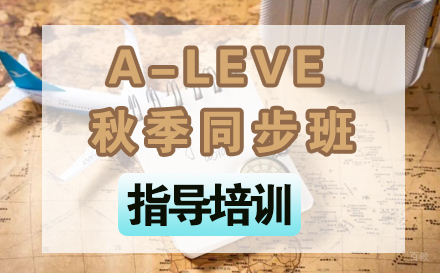 石家庄A-LEVE秋季同步班