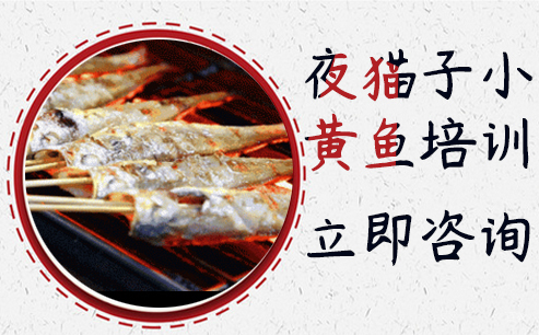 武汉夜猫子小黄鱼培训