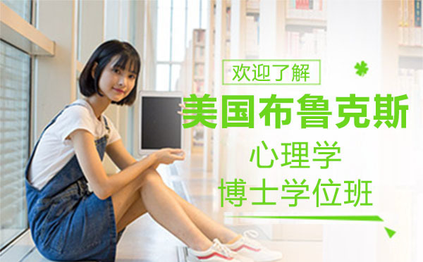 美国布鲁克斯心理学博士学位班