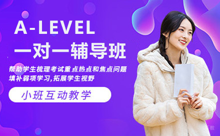 上海A-LEVEL一对一辅导班