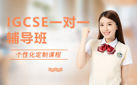 上海IGCSE一对一辅导班