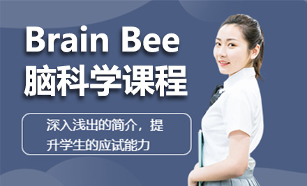 上海国际竞赛BrainBee脑科学课程