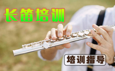 天津少儿长笛培训课程