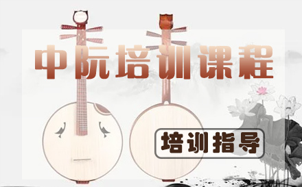 天津少儿中阮培训课程