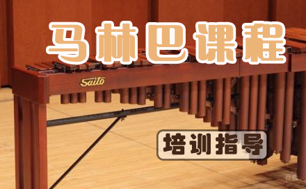 天津少儿马林巴培训课程