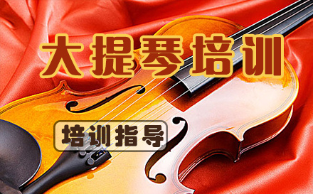 天津大提琴培训课程