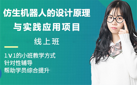 北京仿生机器人的设计原理与实践应用项目线上班