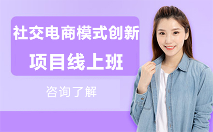 北京社交电商模式创新项目线上班
