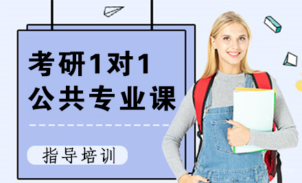 北京考研1对1公共专业课