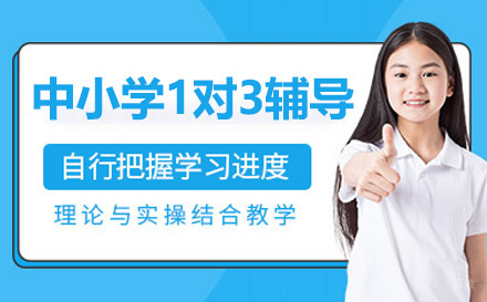 上海中小学1对3课程辅导班
