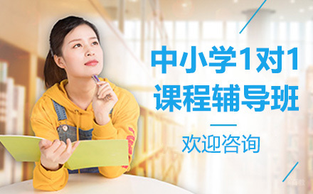 上海中小学1对1课程辅导班
