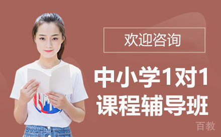 中小学1对1课程辅导班