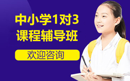 中小学1对3课程辅导班