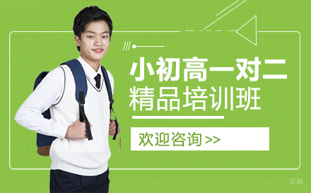重庆小初高一对二精品培训班