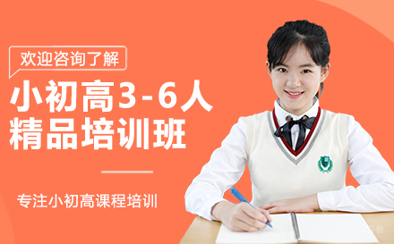 重庆小初高3-6人精品培训班