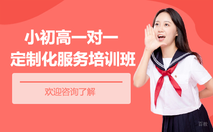 重庆小初高一对一定制化服务培训班