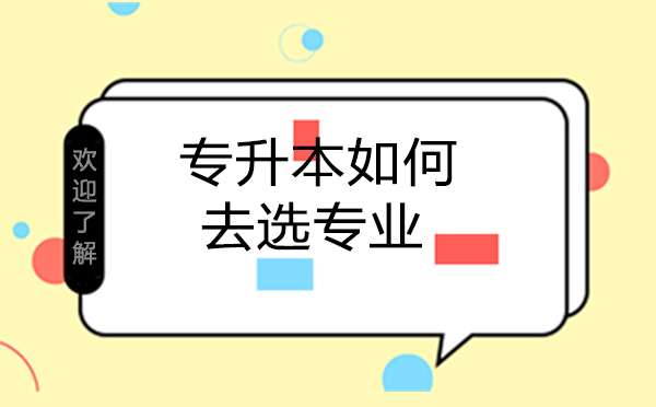 沈陽(yáng)學(xué)歷教育/國(guó)際本科-專升本如何去選專業(yè)？