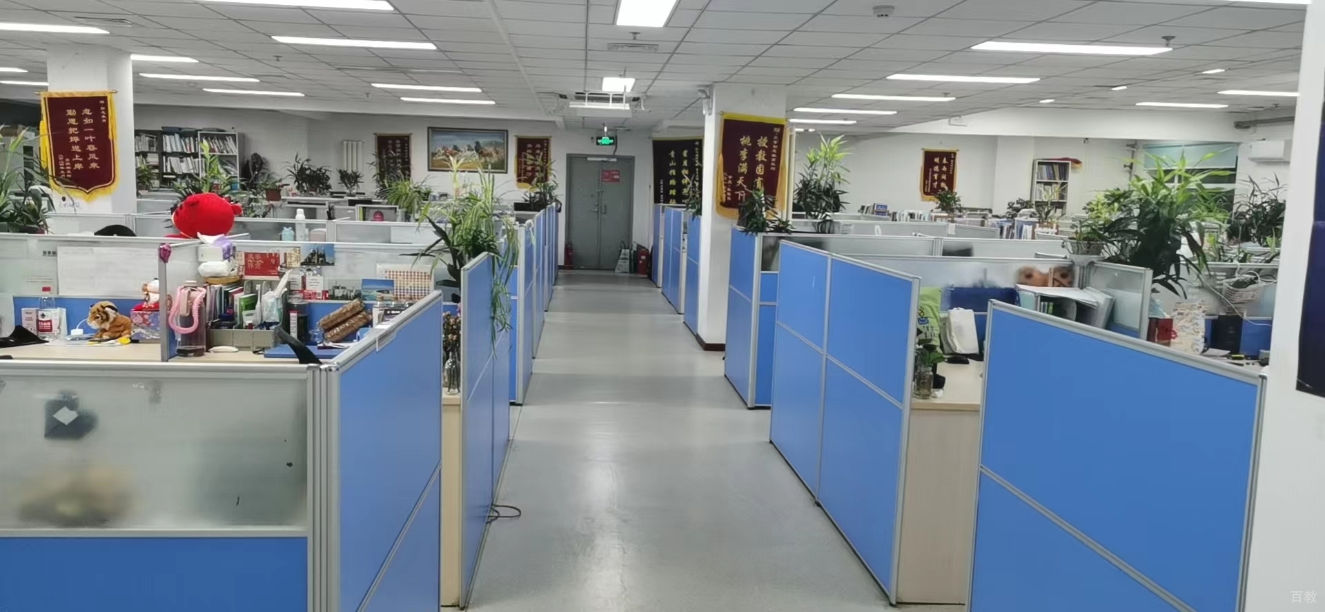 校区环境