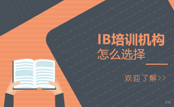 怎么选择好的IB培训机构