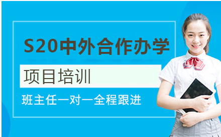 北京S20中外合作办学项目培训