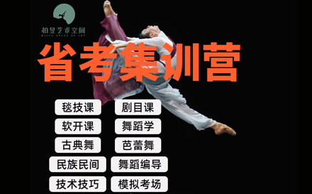 北京兴趣素养培训-舞蹈省考冲刺营