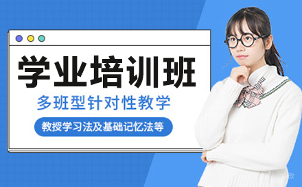 成都一对一学业培训班