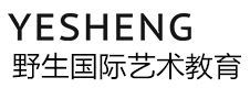 北京野生国际艺术教育