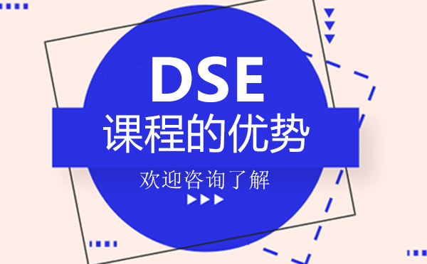 读香港DSE课程的优势-广州SSAL-HKDSE国际高中