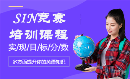 SIN竞赛课程