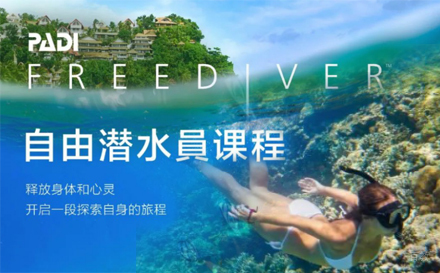 上海PADI自由潜水员课程
