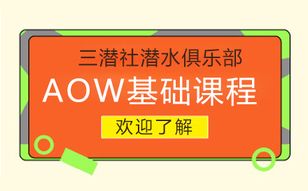 上海职业素养AOW基础课程
