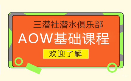 上海AOW基础课程