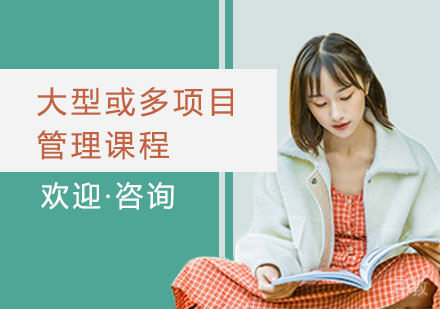 大型或多项目管理课程