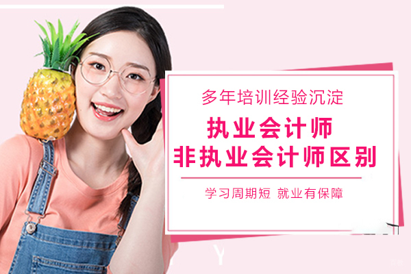 执业会计师vs非执业会计师，有什么区别