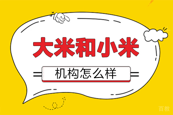 郑州大米和小米机构怎么样