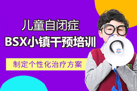 郑州儿童自闭症BSX小镇干预培训