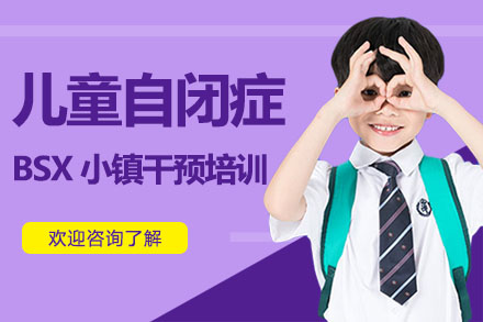 广州自闭症儿童自闭症BSX小镇干预培训