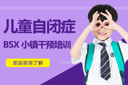 广州儿童自闭症BSX小镇干预培训