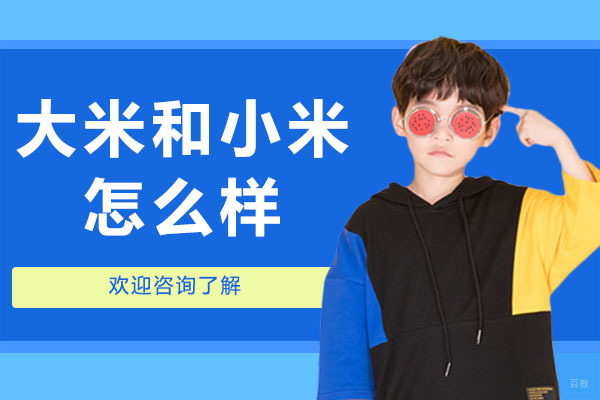 广州大米和小米怎么样-好不好
